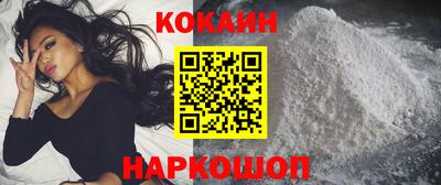 a pvp Камышлов