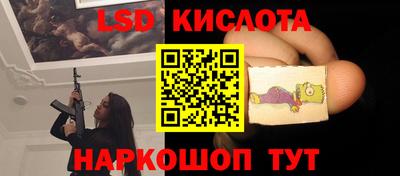 a pvp Камышлов