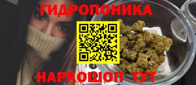 тгк Кандалакша