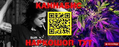 a pvp Камышлов