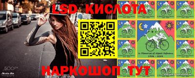 a pvp Камышлов