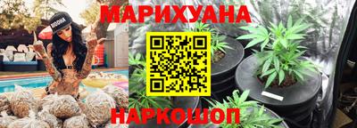 a pvp Камышлов