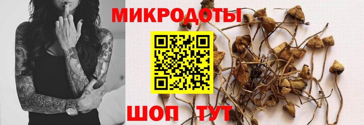 Псилоцибиновые грибы ЛСД  Вход с VPN  Ангарск  Галлюциногенные грибы мицелий 